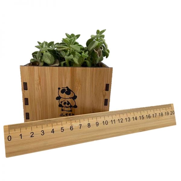 Custom Harmonica CNC Machined Components